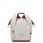 Delsey Τσάντα πλάτης 37.5x35.5x15.5cm σειρά Chatelet Air Angora
