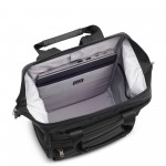 Delsey Σακίδιο πλάτης Shadow Black