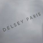 Delsey Σακίδιο πλάτης roll-top Turenne Silver